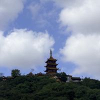 評論圖片 7