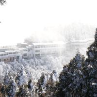 評論圖片 5