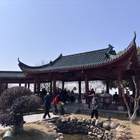 評論圖片 5