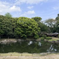 評論圖片 1