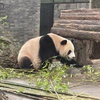 評論圖片 6