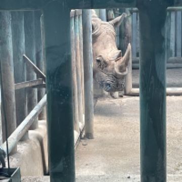 評論圖片 3