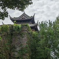 評論圖片 9
