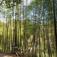 評論圖片 9