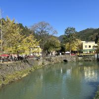 評論圖片 4