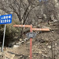 評論圖片 5