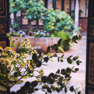 評論圖片 2