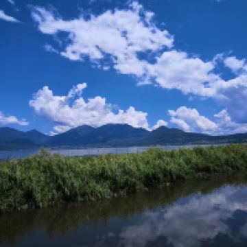 評論圖片 6