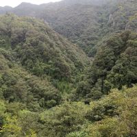 評論圖片 9