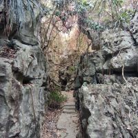 評論圖片 9
