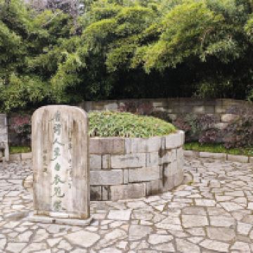 評論圖片 8
