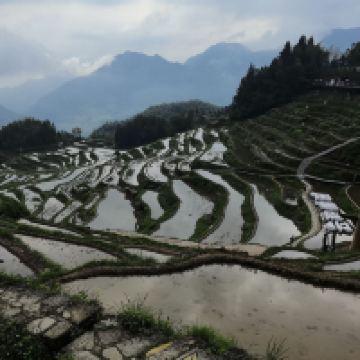 評論圖片 1