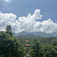 評論圖片 8