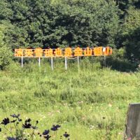 評論圖片 1