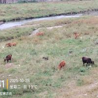 評論圖片 6
