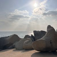 評論圖片 2