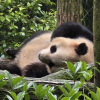 評論圖片 2