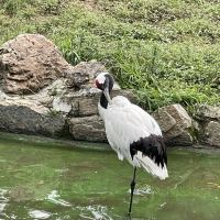 評論圖片 1