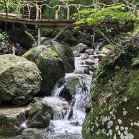 評論圖片 9