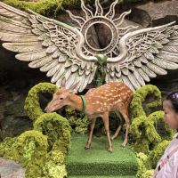 評論圖片 3