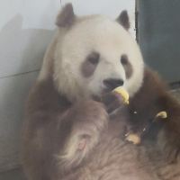 評論圖片 1