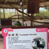 評論圖片 1
