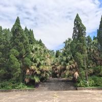 評論圖片 2