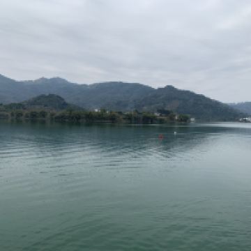 評論圖片 1