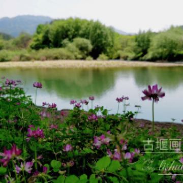 評論圖片 9