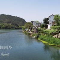 評論圖片 2