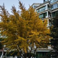 評論圖片 2