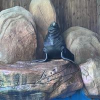 評論圖片 3