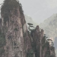 評論圖片 2