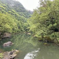 評論圖片 5
