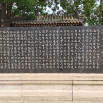 評論圖片 7