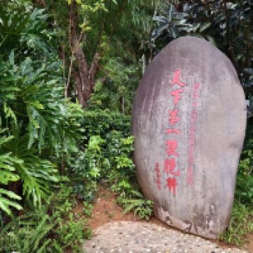 評論圖片 7