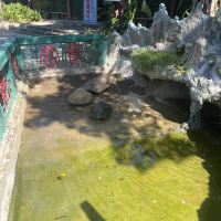 評論圖片 2