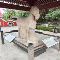 評論圖片 3
