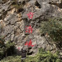評論圖片 1