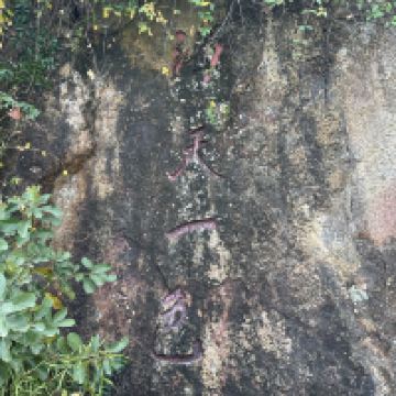 評論圖片 5