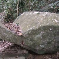 評論圖片 2