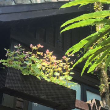 評論圖片 3