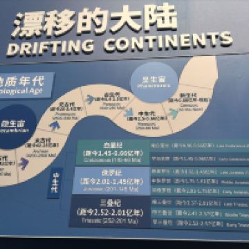 評論圖片 3