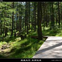 評論圖片 2