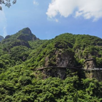 評論圖片 7