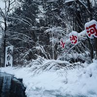 評論圖片 1