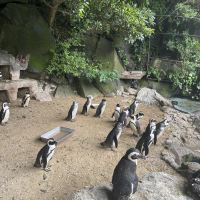 評論圖片 7