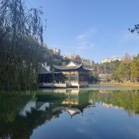 評論圖片 8