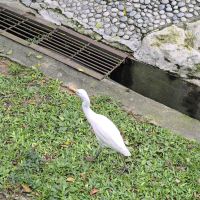 評論圖片 3