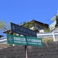 評論圖片 1